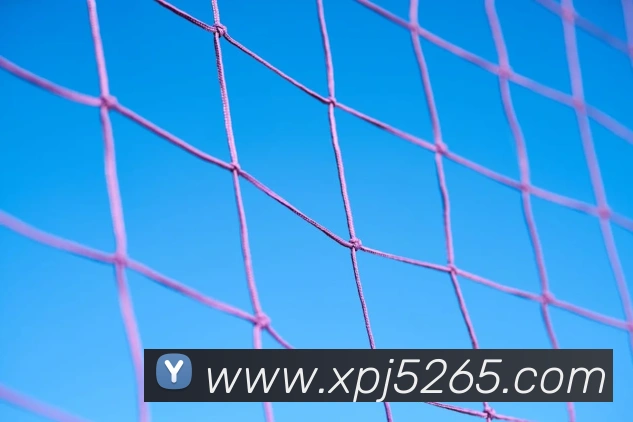 澳门新葡京网站入口服务体系