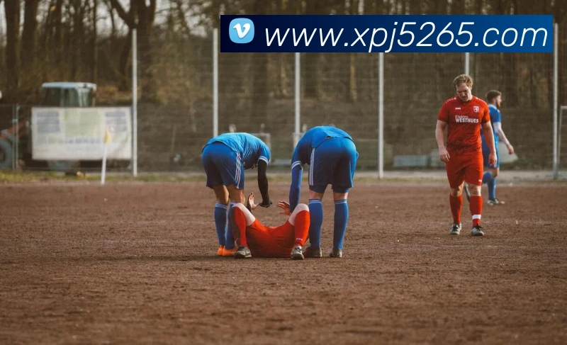 多媒体互动体验